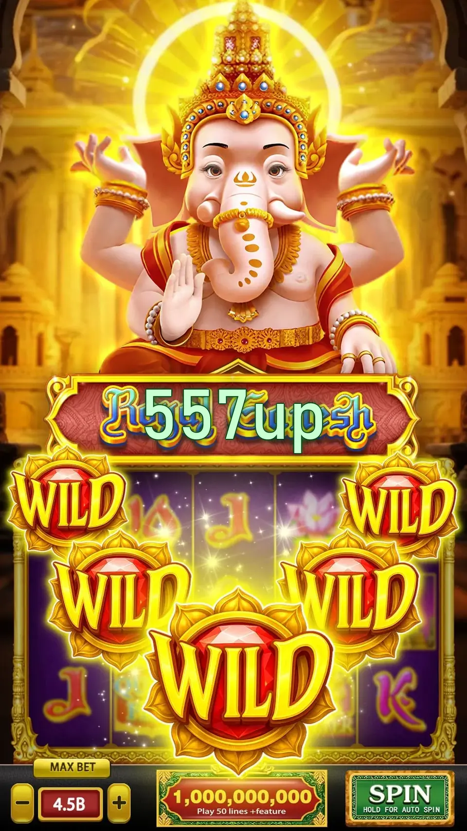 557up Login